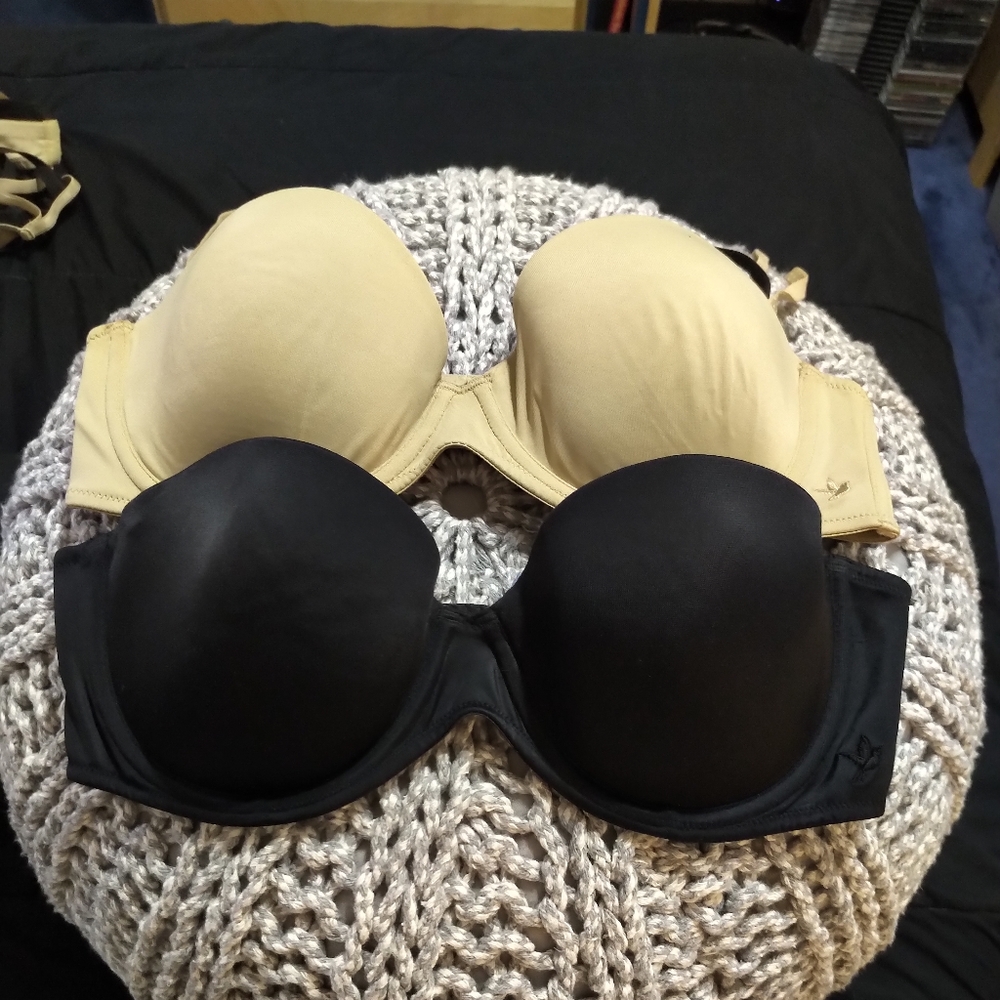 AERIE Audrey Bra Bundle
